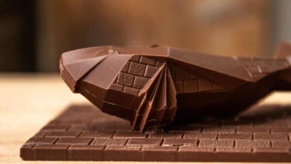 Poisson signature de paques en chocolat lait de Julien Dechenaud chocolatier