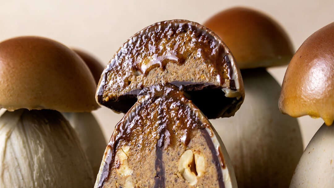 Cèpe d'halloween, praliné noisette et des noisettes entières parjulien Dechenaud