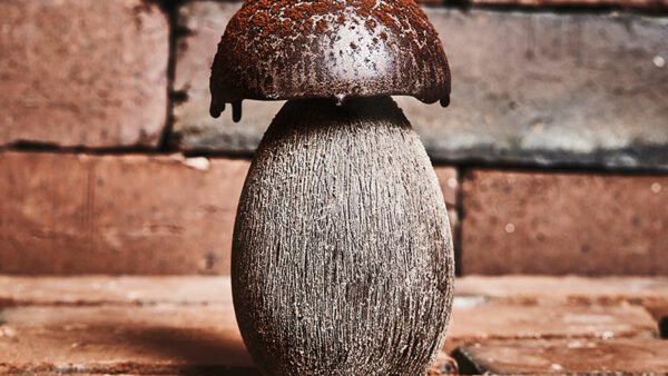 Confiserie en forme de champignon praliné noisette amande
