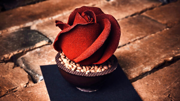 Délicieuse rose en chocolat avec son petit pot garni de gelée de pomme, de praliné noisette et parsemé de crumble du chef chocolatier Julien Dechenaud