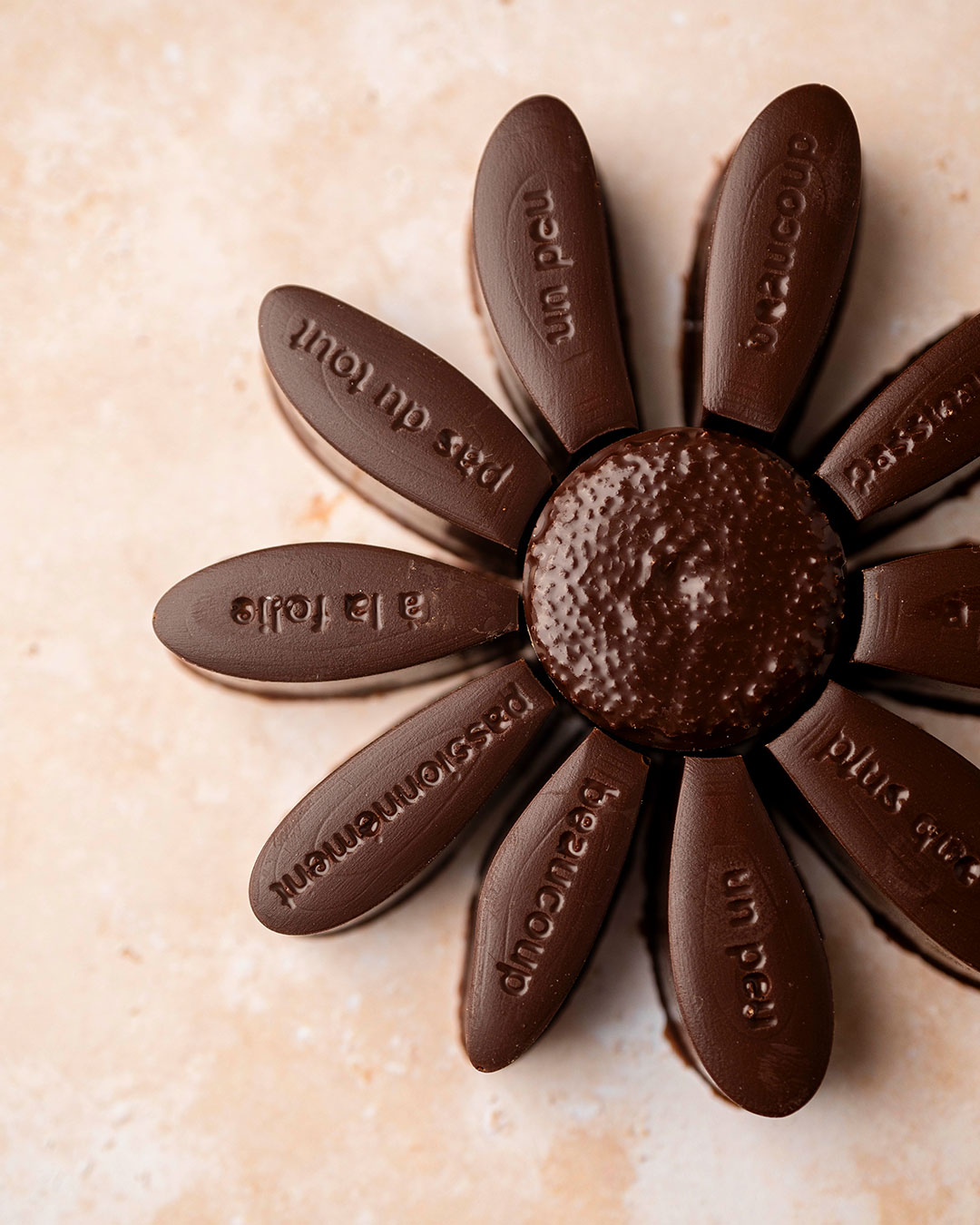 Marguerite noir – Image 2