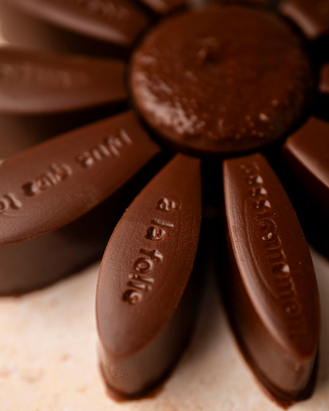 Marguerite noir – Image 3