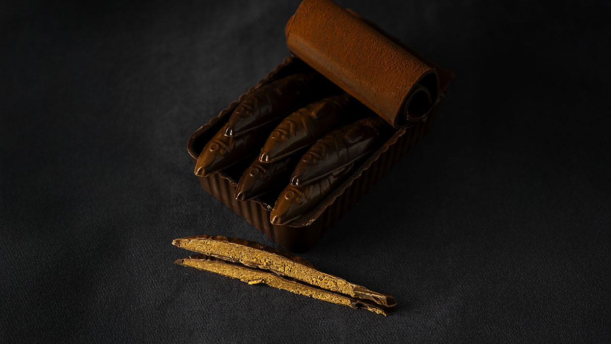 BOITE SARDINES – Image 3