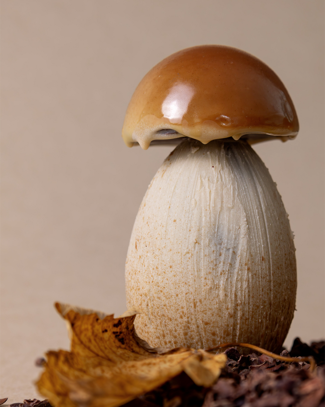 Que serait Halloween 2025 sans son champignon venimeusement délicieux et croquant au chocolat noir avec son praliné noisette et des noisettes entières…