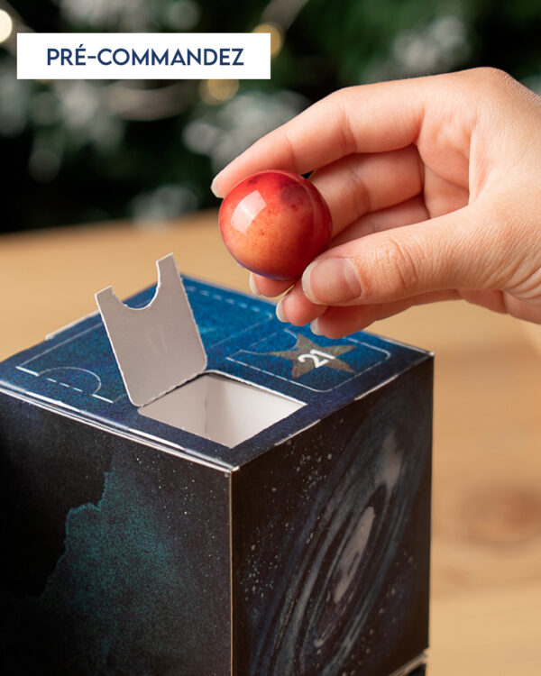 Précommandez le calendrier de l'Avent Julien Dechenaud. Un calendrier de l'Avent qui renferme 24 surprises chocolatées.