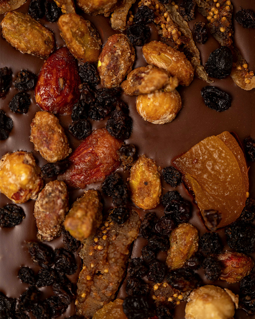 Focus tablette mendiant chocolat au lait végan 48% et un mélange de noisettes, amandes, raisins, pistaches, abricots et figues.