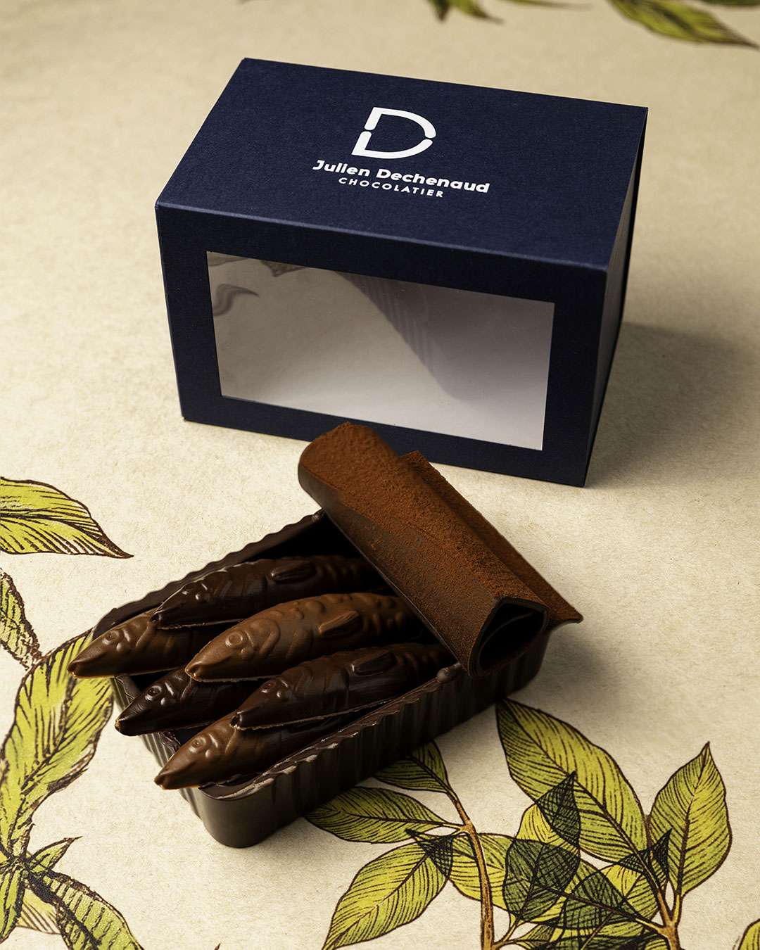 BOITE DE SARDINES – Image 2