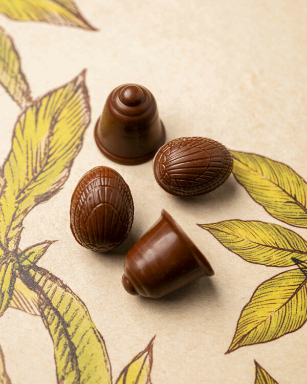 Fritures pralinées lait T1