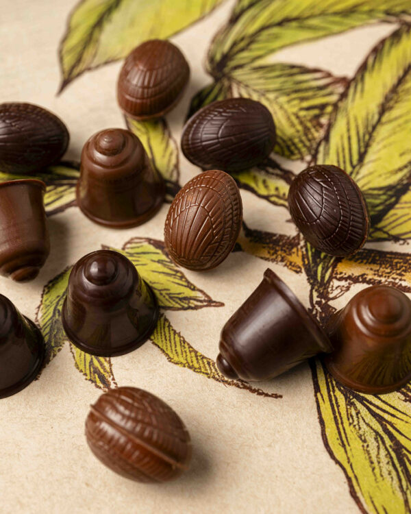 Fritures pralinées mixte T1