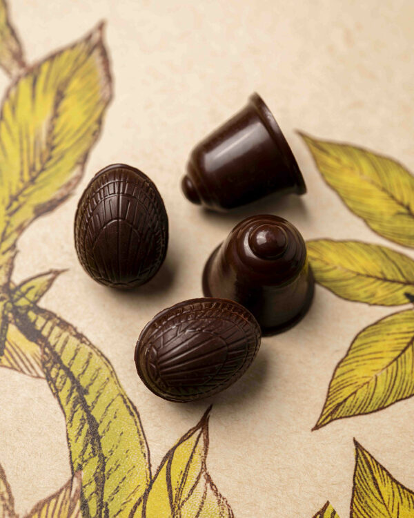 Fritures pralinées noir T1