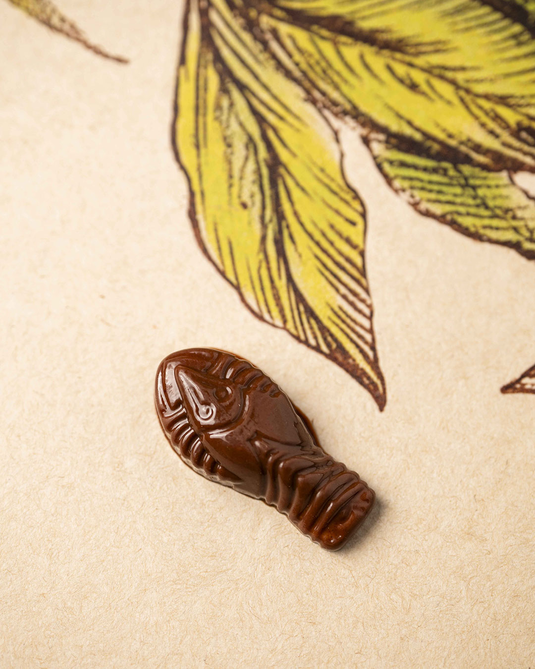 Fritures sèches lait vegan T2 – Image 6