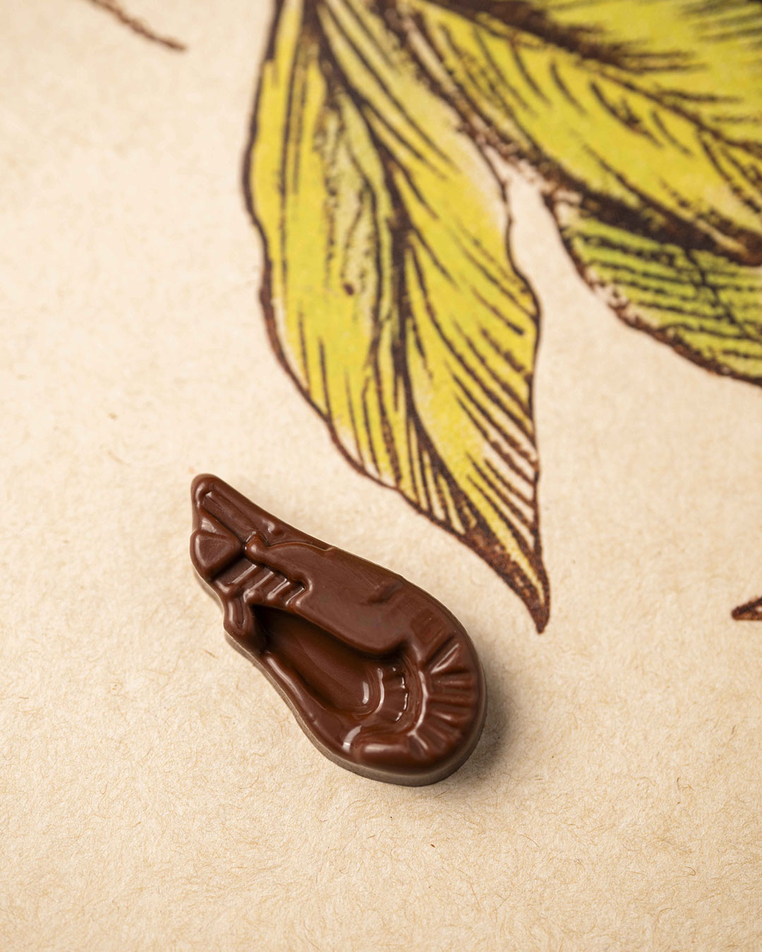 Fritures sèches lait vegan T2 – Image 5