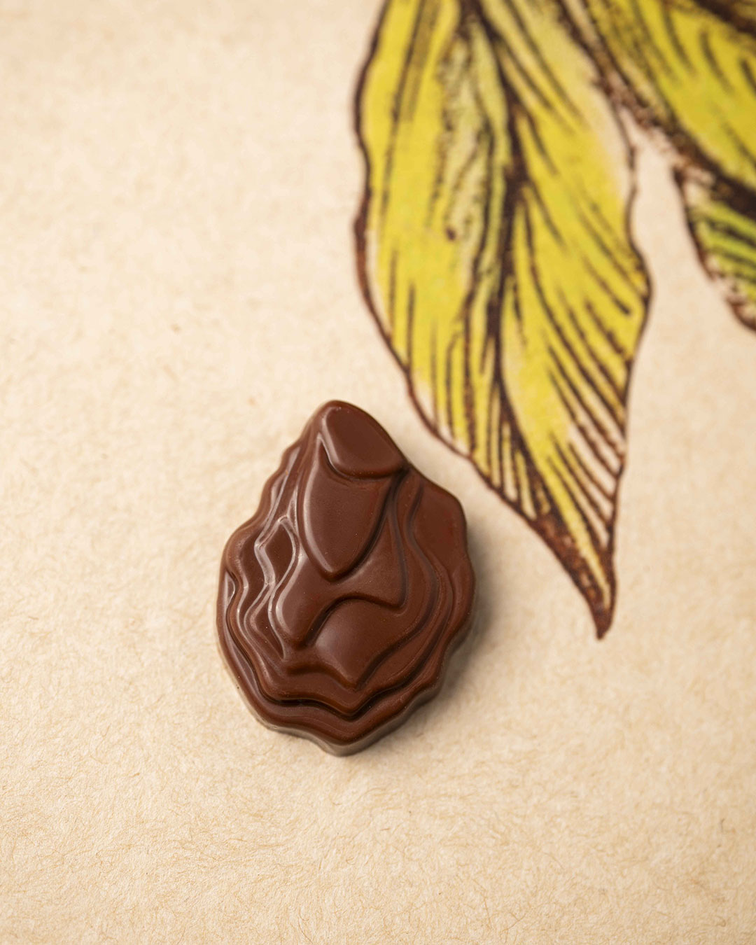 Fritures sèches lait vegan T2 – Image 4