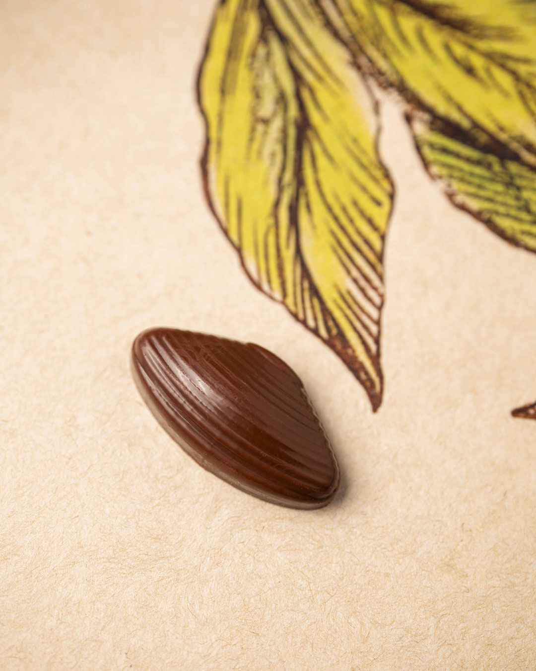 Fritures sèches lait vegan T2 – Image 3