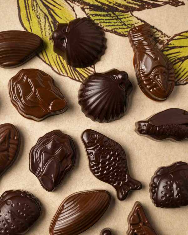 Fritures sèches mixte Vegan T1