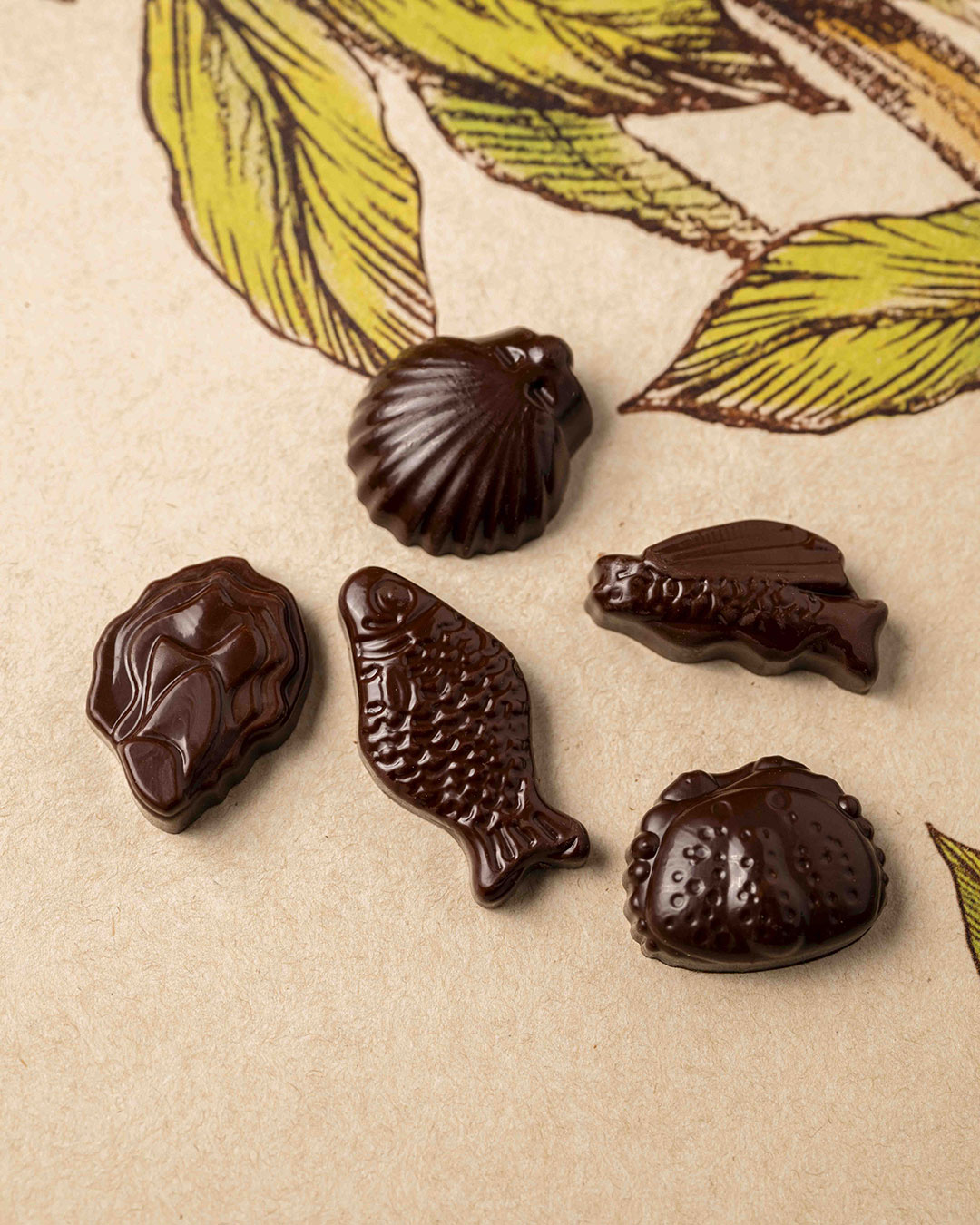 Fritures sèches noir T1