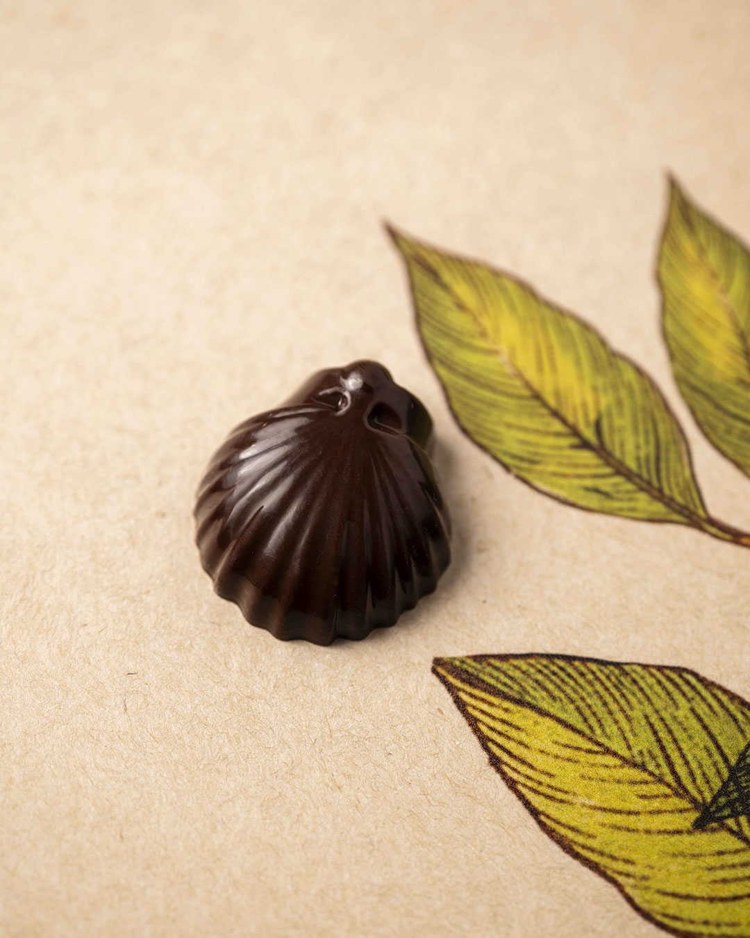 Fritures sèches noir T1 – Image 3