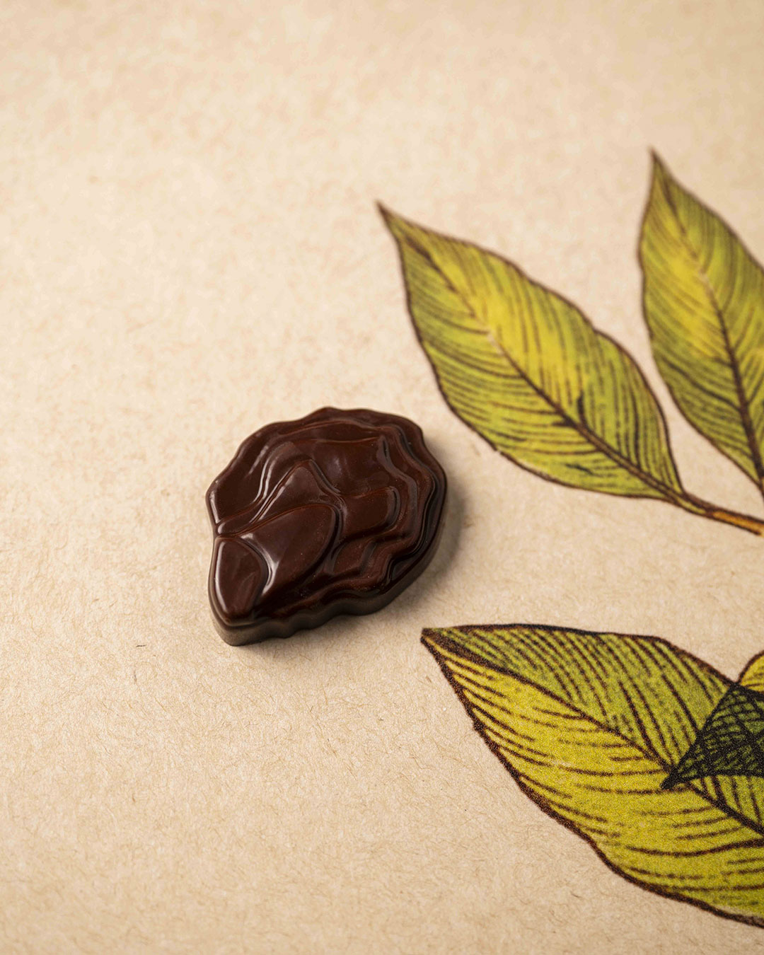 Fritures sèches noir T1 – Image 2