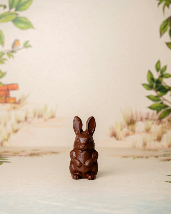Lapine Taille 1