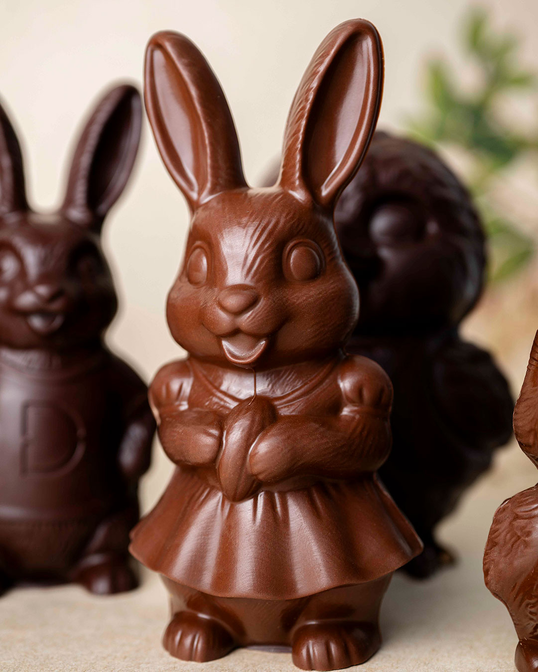 Lapine Taille 2 – Image 4