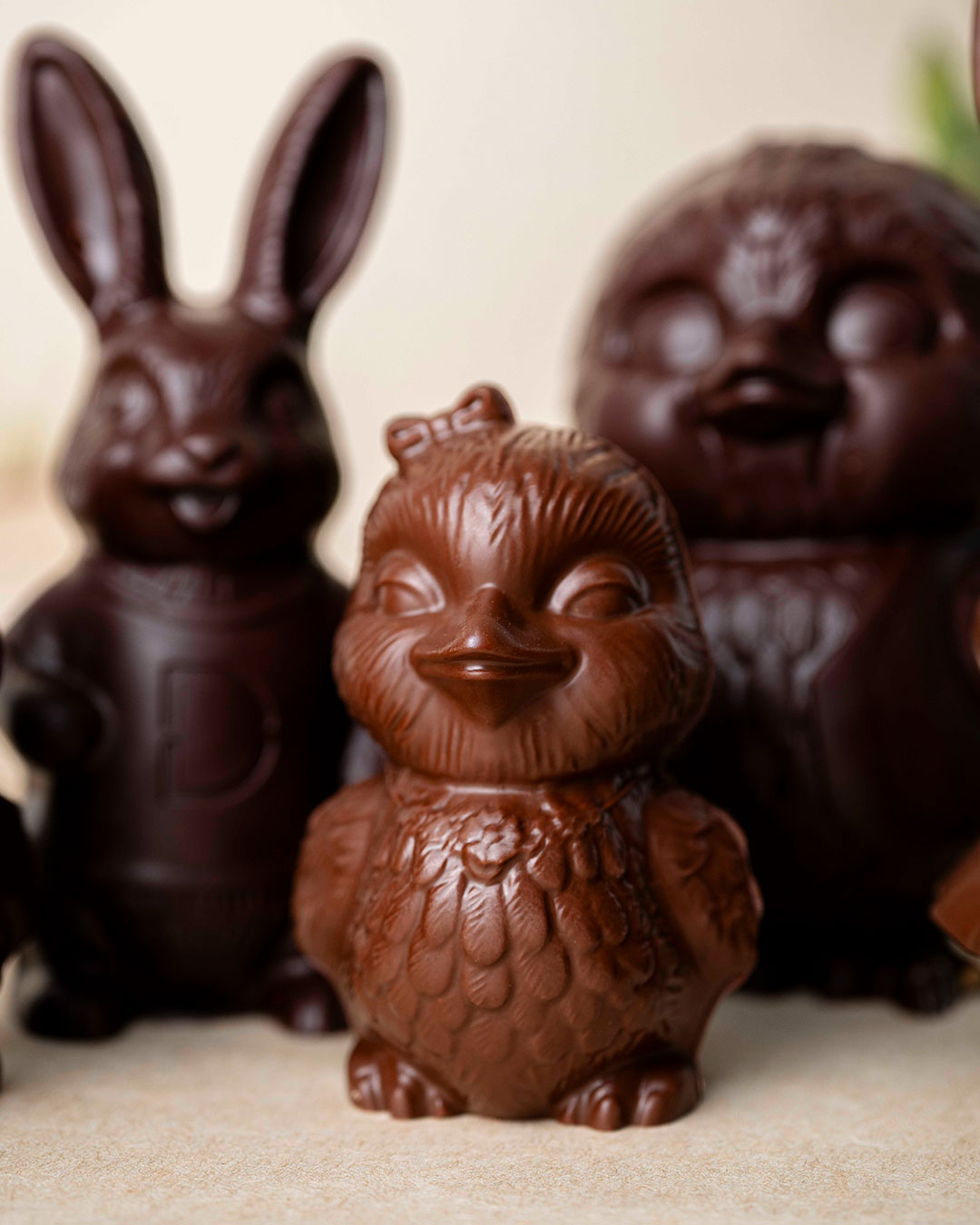 Poussin Lait Taille 1 – Image 4