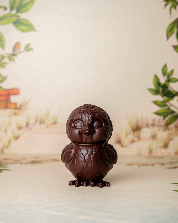 Poussin garçon Taille 2