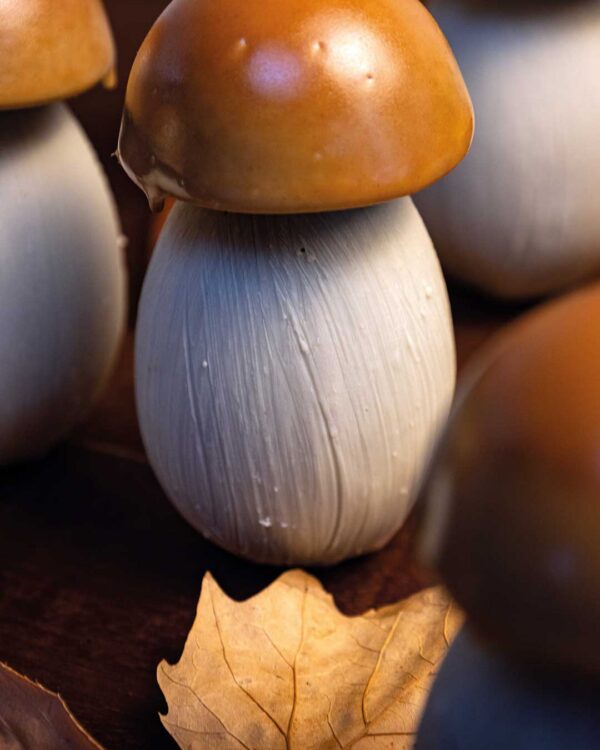 Champignon